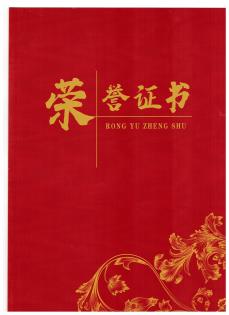 2021抗疫志愿者荣誉证书